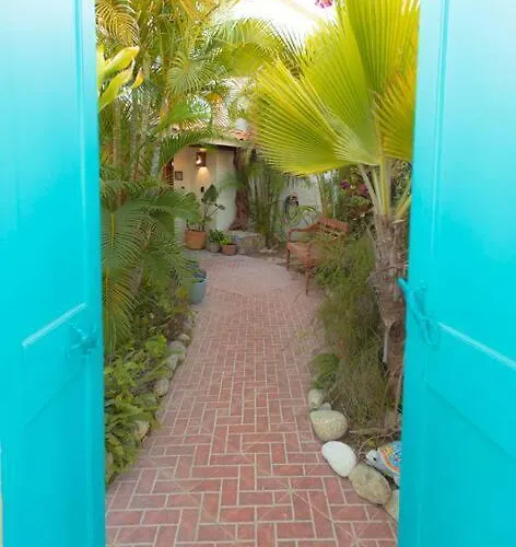 3 Bed 4 Bath Ocean View With Heated Pool. Holiday home