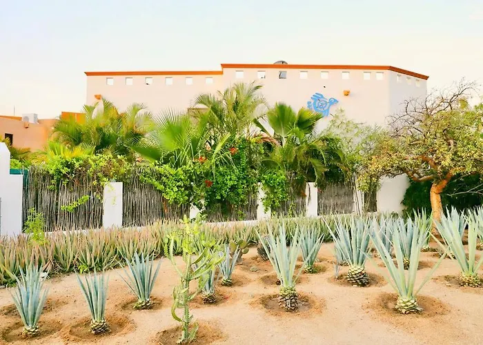 3 Bed 4 Bath Ocean View With Heated Pool. *